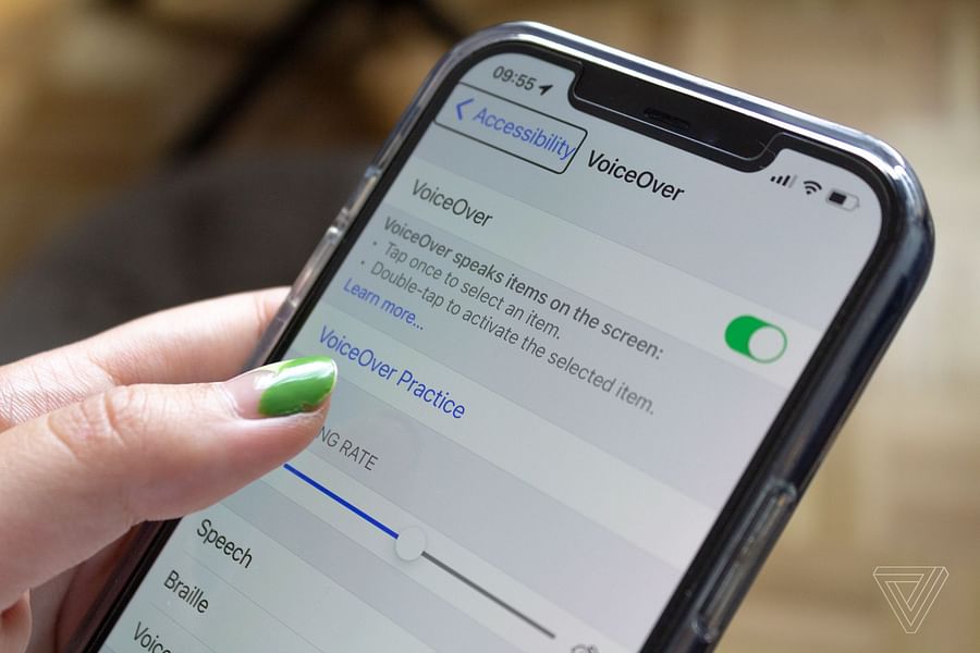 screen reader software