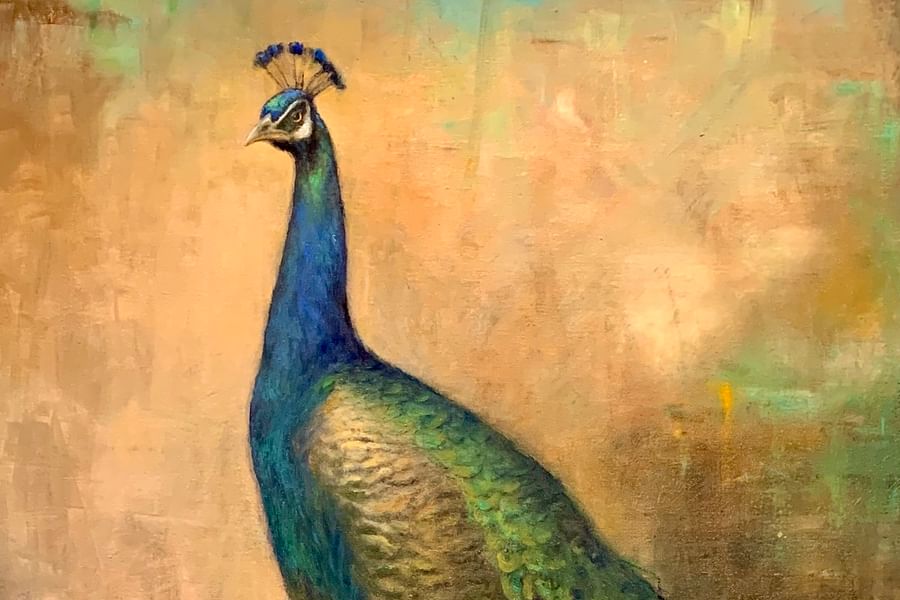 Peacock audio description